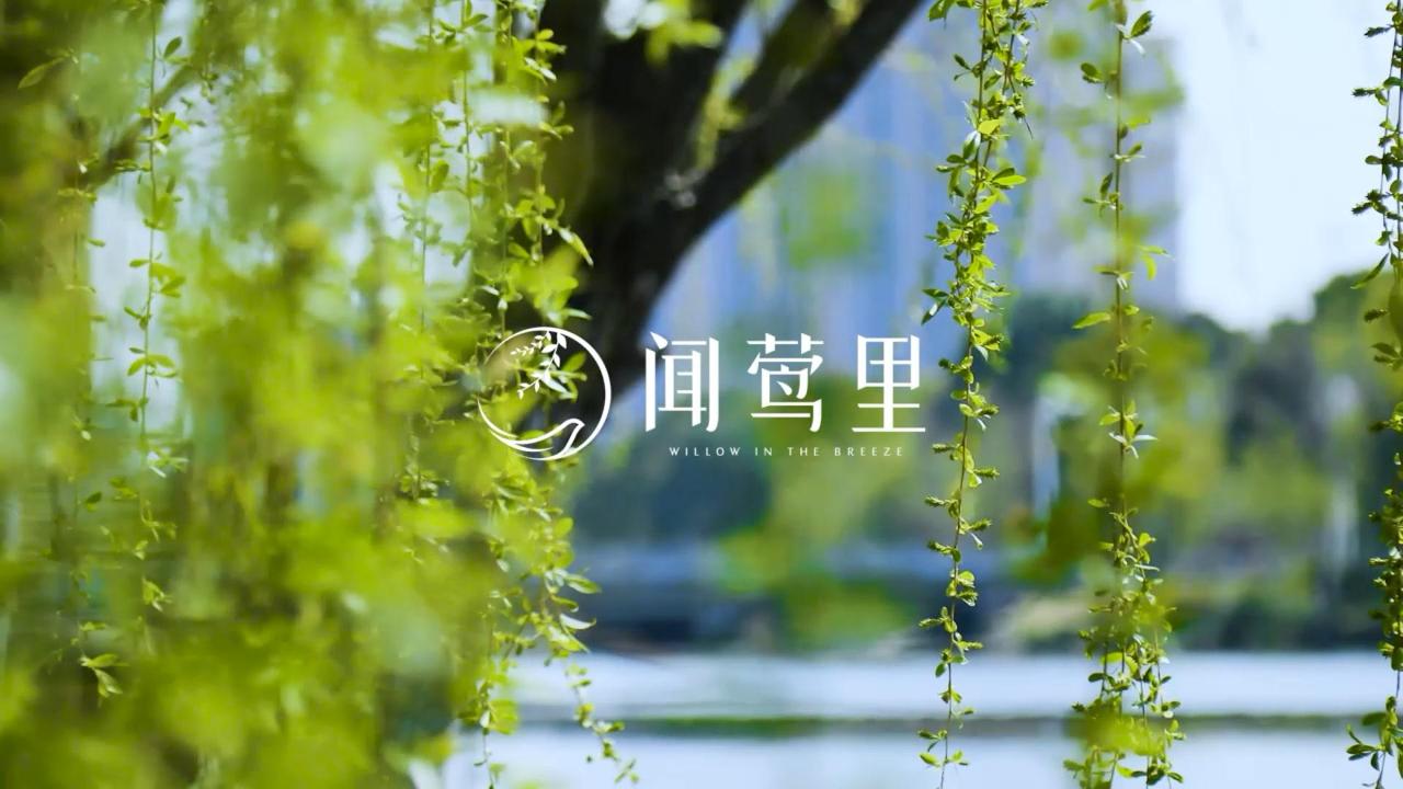 Ӯ(VWIN)ٷվ-ACٷ
